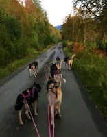 Soica & Misha i lead