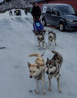 Meta & Rashka, Tanana og Akira (Kya)